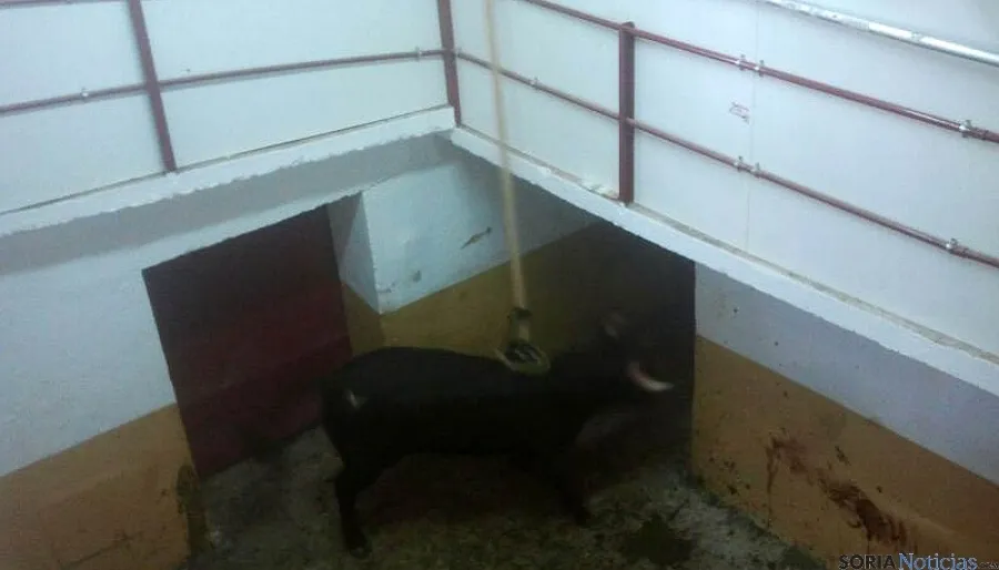 El Viernes de Toros inunda la capital. / SN