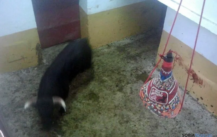 El Viernes de Toros inunda la capital. / SN