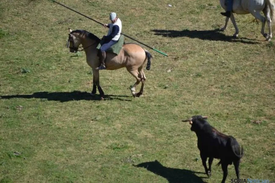 Lavalenguas 2014
