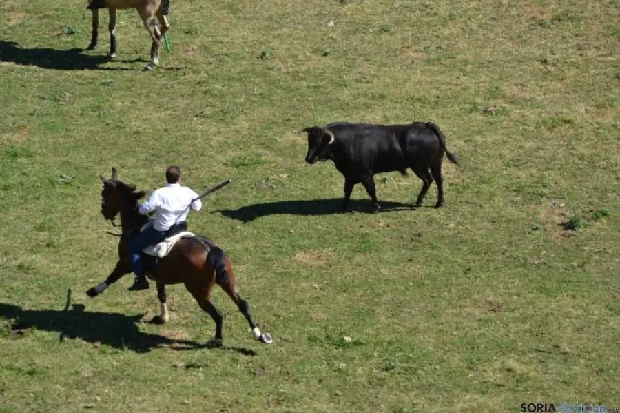 Lavalenguas 2014
