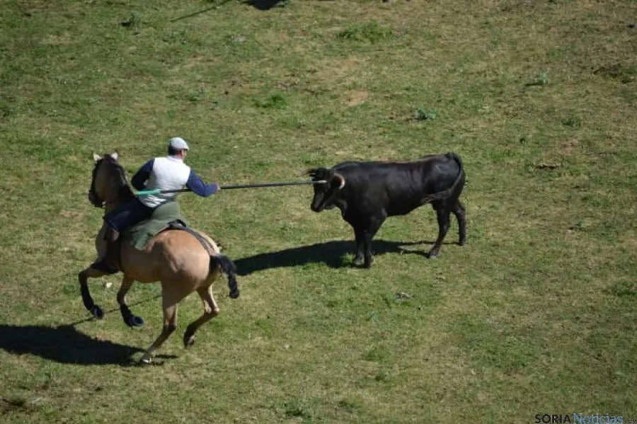 Lavalenguas 2014