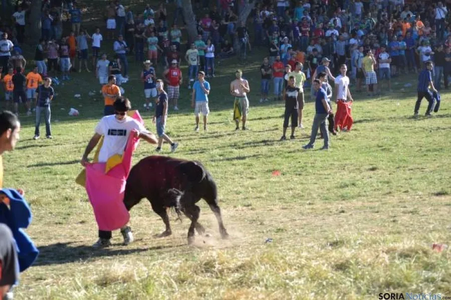 Lavalenguas 2014