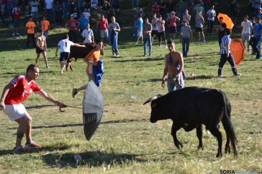 Lavalenguas 2014