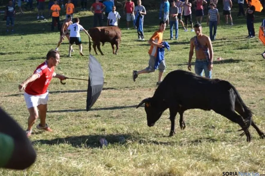 Lavalenguas 2014