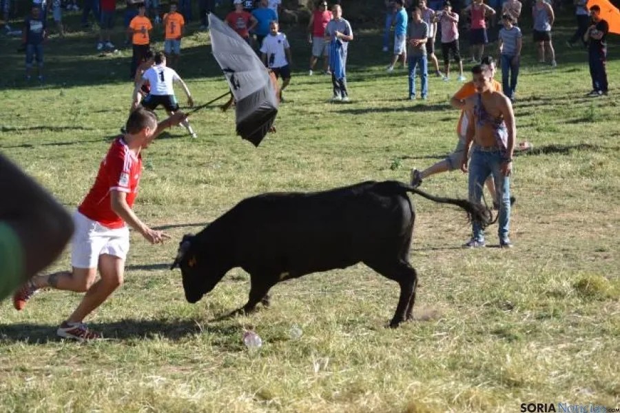 Lavalenguas 2014