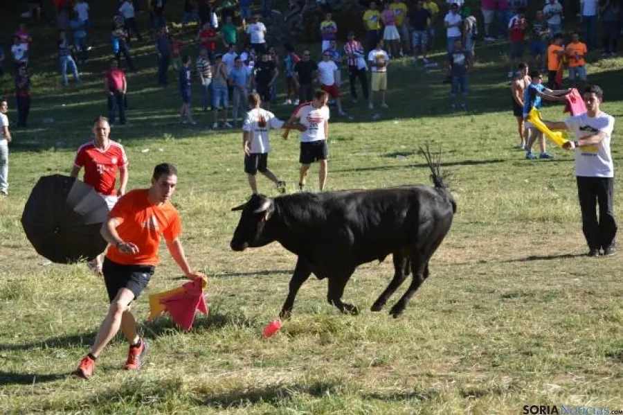 Lavalenguas 2014