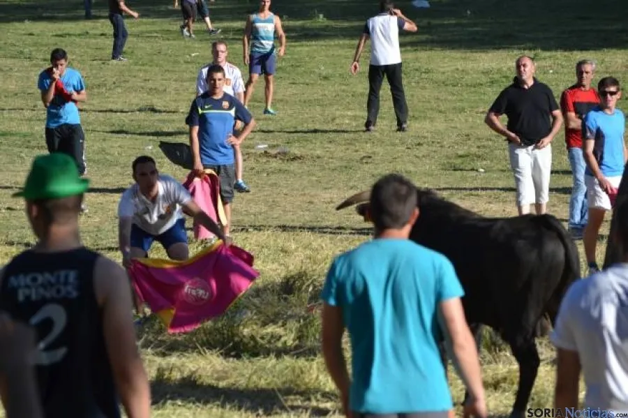 Lavalenguas 2014