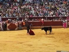 Viernes de Toros