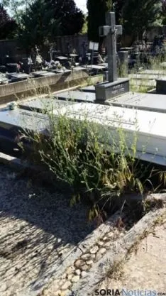 Estado del cementerio