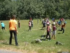 Actividades para el Día del Medio Ambiente