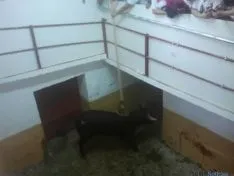 Viernes de Toros
