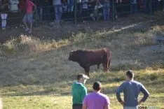 Lavalenguas 2014