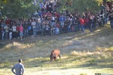Lavalenguas 2014