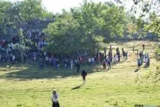 Lavalenguas 2014