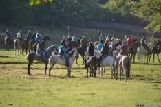 Lavalenguas 2014