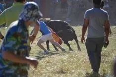Lavalenguas 2014