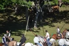 Lavalenguas 2014