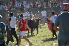 Lavalenguas 2014