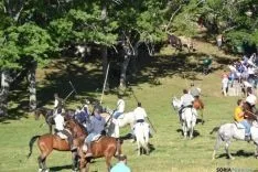 Lavalenguas 2014