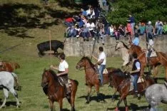 Lavalenguas 2014