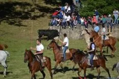 Lavalenguas 2014