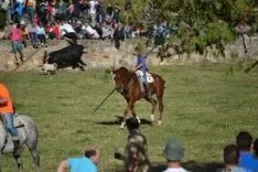 Lavalenguas 2014