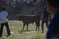 Lavalenguas 2014