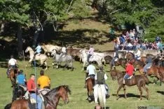 Lavalenguas 2014