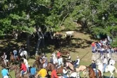 Lavalenguas 2014