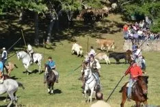 Lavalenguas 2014