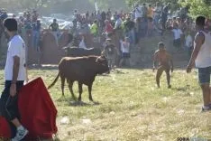 Lavalenguas 2014