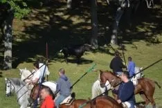 Lavalenguas 2014
