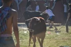 Lavalenguas 2014