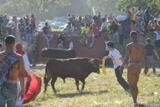 Lavalenguas 2014