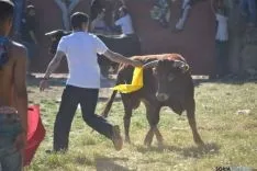 Lavalenguas 2014