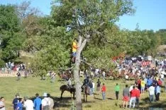 Lavalenguas 2014