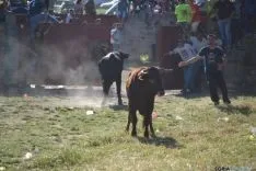 Lavalenguas 2014