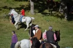 Lavalenguas 2014