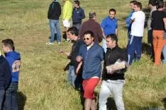Lavalenguas 2014