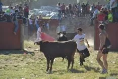 Lavalenguas 2014