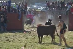 Lavalenguas 2014