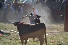 Lavalenguas 2014