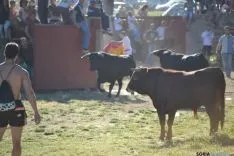 Lavalenguas 2014
