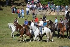 Lavalenguas 2014