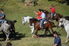 Lavalenguas 2014