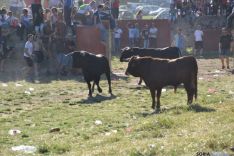 Lavalenguas 2014