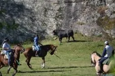 Lavalenguas 2014