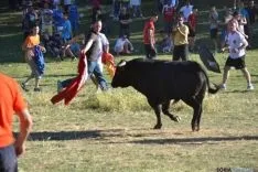 Lavalenguas 2014