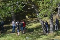 Lavalenguas 2014