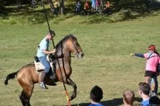 Lavalenguas 2014